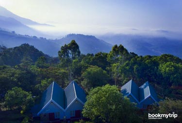 Bookmytripholidays | Ambadi estate,Munnar  | Best Accommodation packages